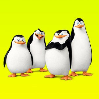 Penguin iPhone wallpaper