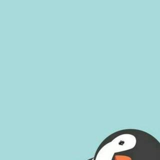 Penguin iPhone wallpaper