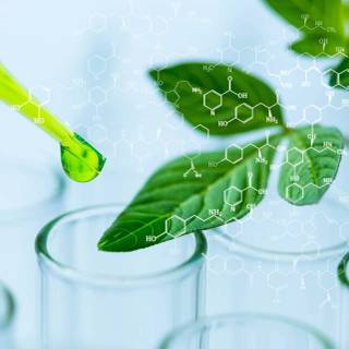 Science green wallpaper