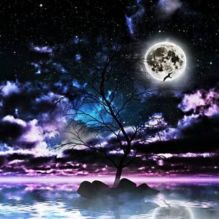 Moon and ocean wallpaper