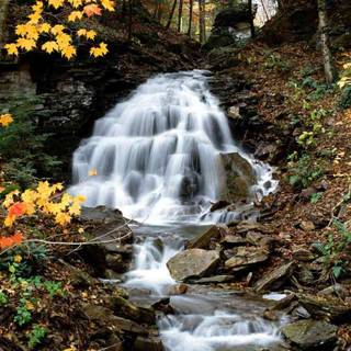 National Park autumn wallpaper