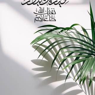 Arabic phone wallpaper