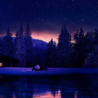 1920x1080 winter night wallpaper