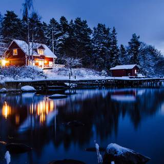 Woods winter night wallpaper