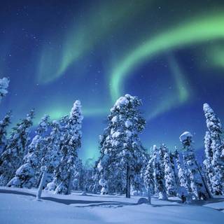 Northern Lights winter desktop wallpaper