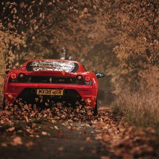 Ferrari autumn wallpaper