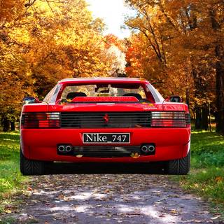Ferrari autumn wallpaper