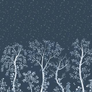 Woods winter night wallpaper