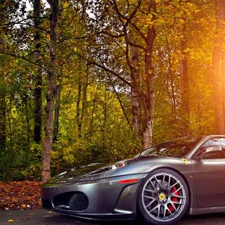 Ferrari autumn wallpaper