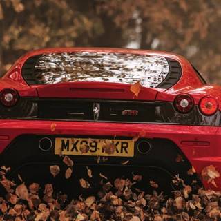 Ferrari autumn wallpaper