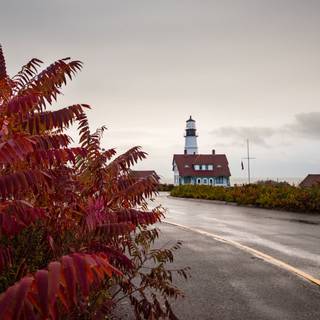 Lighthouse autumn wallpaper