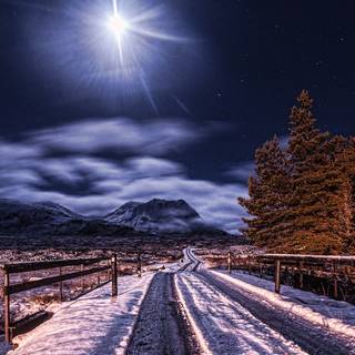 Woods winter night wallpaper