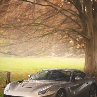 Ferrari autumn wallpaper