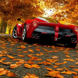 Ferrari autumn wallpaper