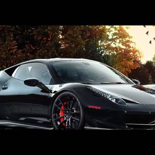 Ferrari autumn wallpaper