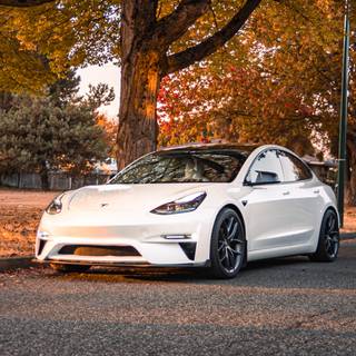 Tesla autumn wallpaper