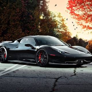 Ferrari autumn wallpaper