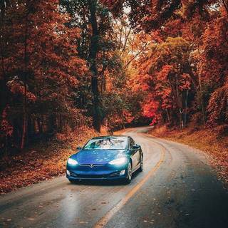 Tesla autumn wallpaper