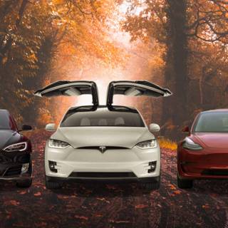 Tesla autumn wallpaper