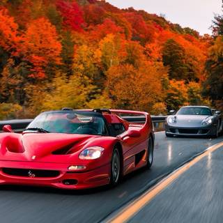 Ferrari autumn wallpaper