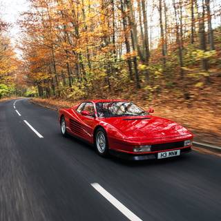 Ferrari autumn wallpaper