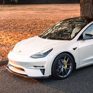 Tesla autumn wallpaper