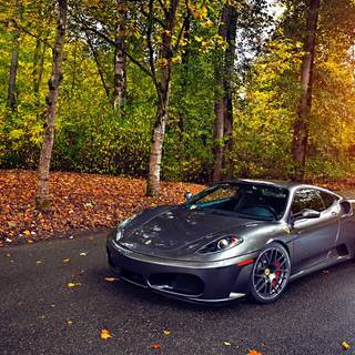 Ferrari autumn wallpaper