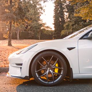 Tesla autumn wallpaper