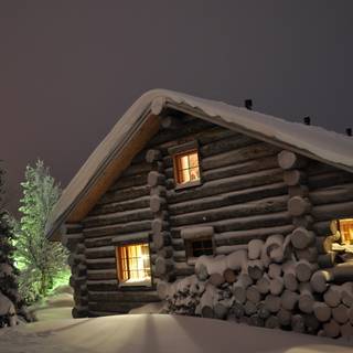 Woods winter night wallpaper