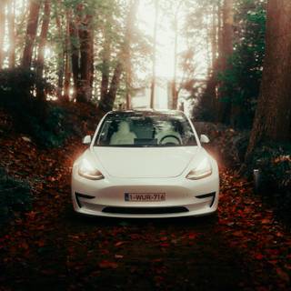 Tesla autumn wallpaper