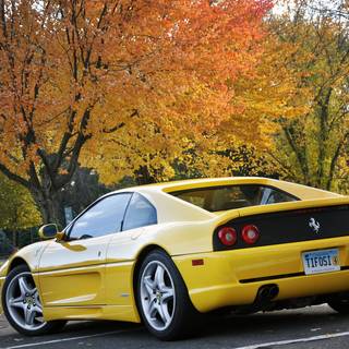 Ferrari autumn wallpaper