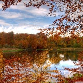 Calm autumn landscape wallpaper