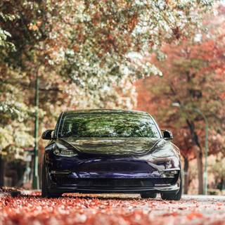 Tesla autumn wallpaper
