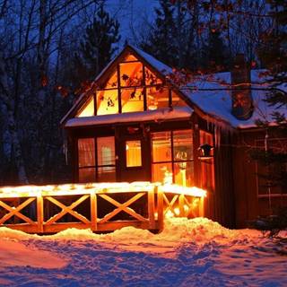 Woods winter night wallpaper