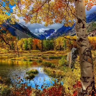 Calm autumn landscape wallpaper