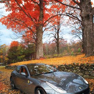 Ferrari autumn wallpaper