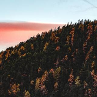 Dark autumn Mac wallpaper