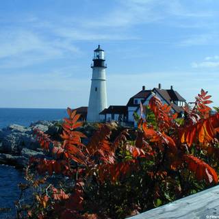 Lighthouse autumn wallpaper