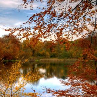Calm autumn landscape wallpaper