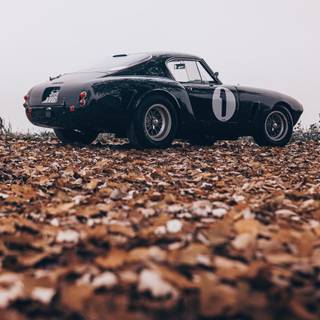 Ferrari autumn wallpaper