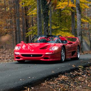 Ferrari autumn wallpaper