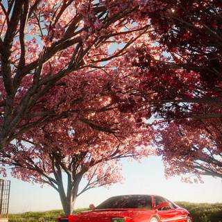 Ferrari autumn wallpaper