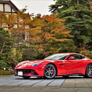 Ferrari autumn wallpaper