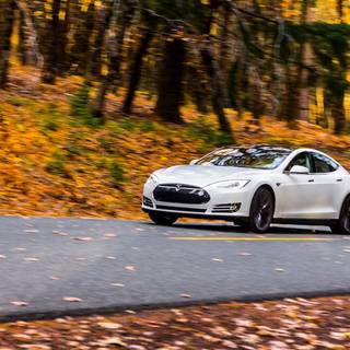 Tesla autumn wallpaper