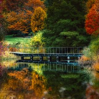 Calm autumn landscape wallpaper