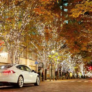 Tesla autumn wallpaper