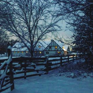 Woods winter night wallpaper