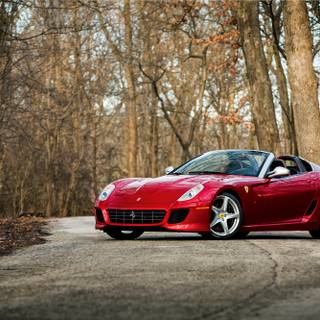 Ferrari autumn wallpaper