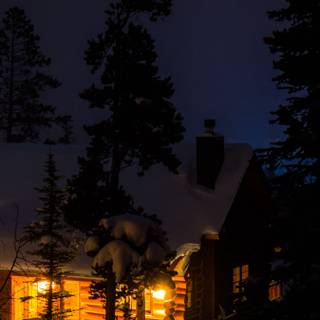 Woods winter night wallpaper