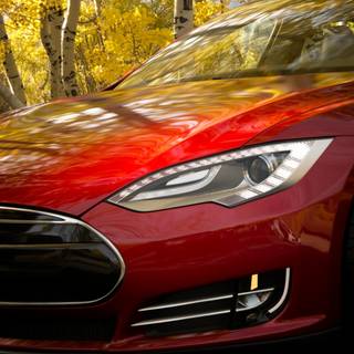 Tesla autumn wallpaper